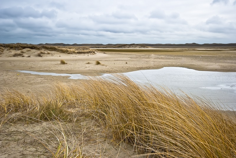 Internationale bescherming Waddenzee kan beter