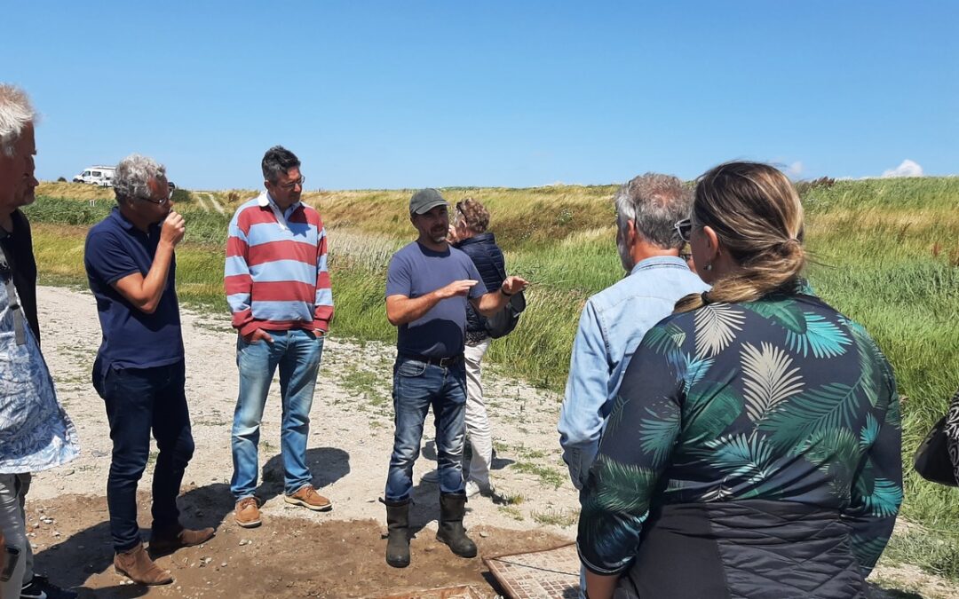 IKW bekijkt zilte proeven in Polder Wassenaar