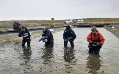 Save the date! Symposium mariene aquacultuur op komst