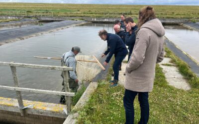 Delegatie Dubbele Dijk bezoekt Polder Wassenaar