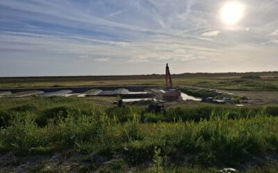 Natuurontwikkeling Polder Wassenaar van start