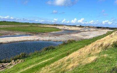 Polder Wassenaar krijgt vorm als nieuw kweldergebied